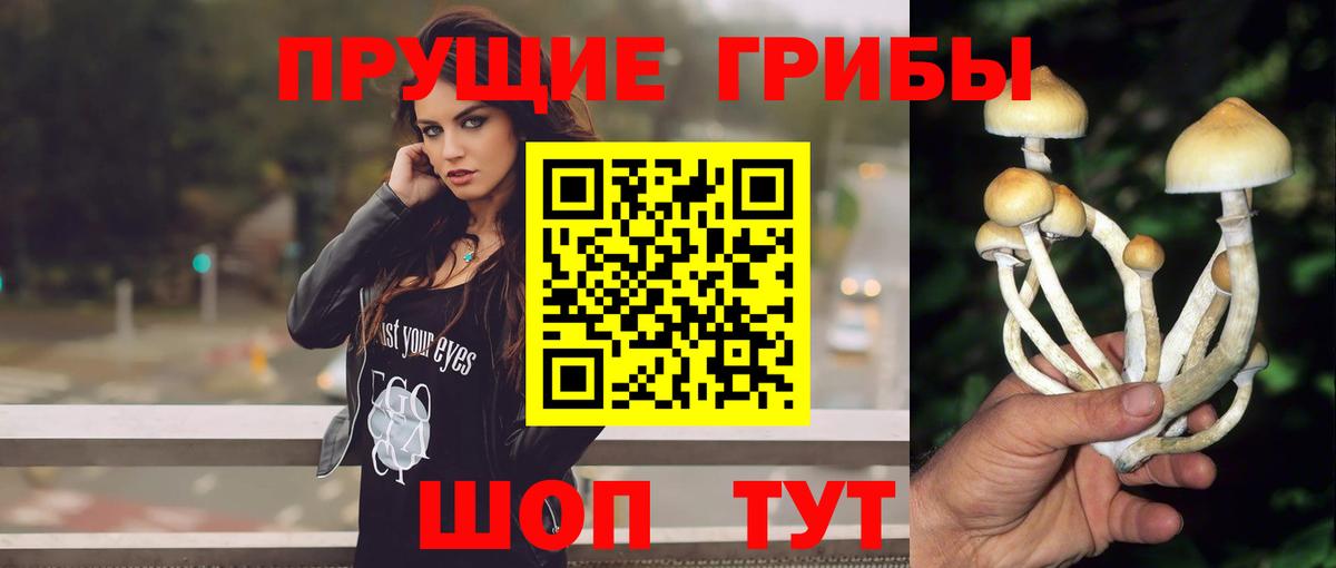 Псилоцибиновые грибы мухоморы Мценск